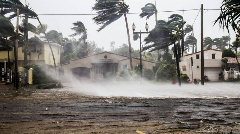 Hurricane Survival Tips: How to Survive Natural Disasters